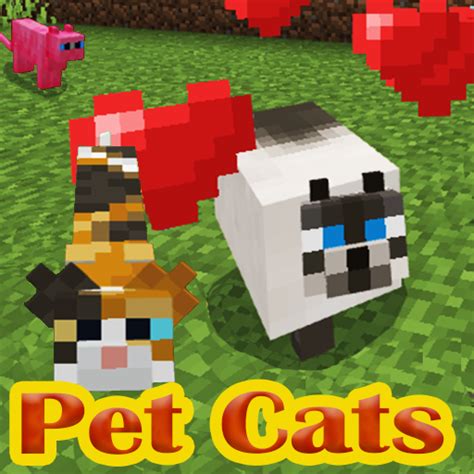 Pet Cats For Minecraft Apps On Google Play