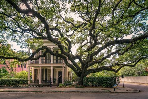 New Orleans Garden district, USA