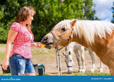 Woman Feeding Horse On Farm Stock Image Image Of Happy Enjoying