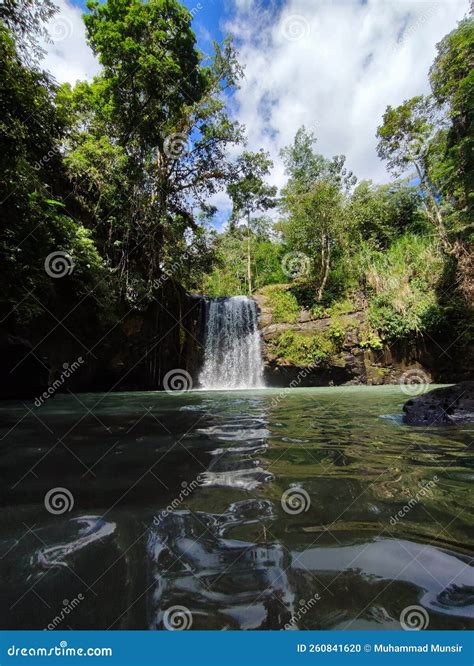 Waterfall Nature Water Jungle Stock Photo - Image of rock, reflection ...