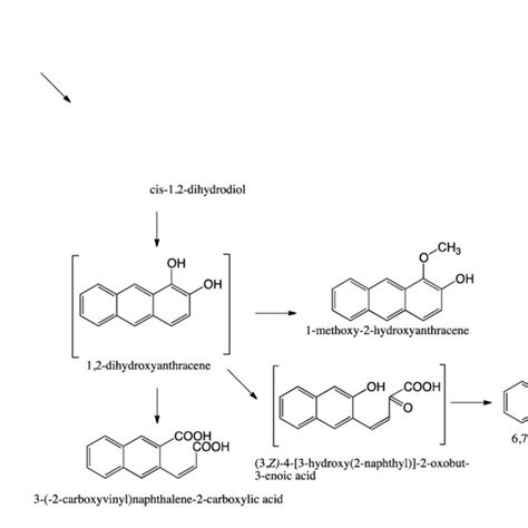 Proposed Pathway Of Anthracene Biodegradation 12 Download