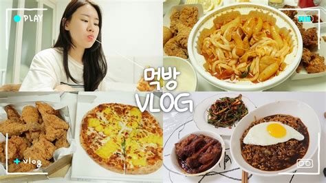 Vlog 먹고 또 먹는 돼지런한 일상 네네치킨엽기떡볶이라면돼지국밥피자나라치킨공주물냉면짜파게티쪽갈비아이스크림🍨