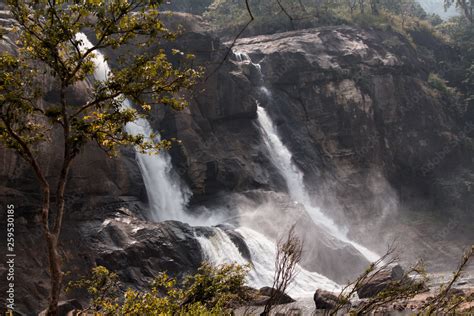 bogatha waterfalls in kerala Stock Photo | Adobe Stock