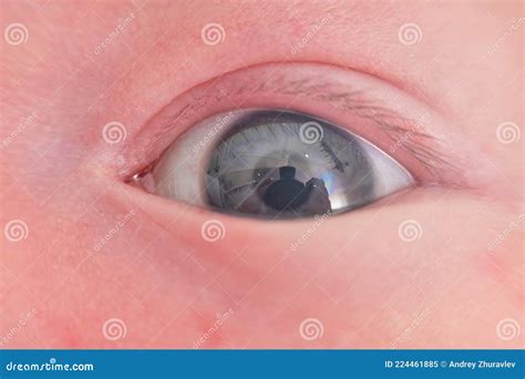 Gray Eye Of A Newborn Baby Close Up Macro Photo Of A Child Open Eye