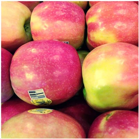 Pink Lady® Apples Information Recipes And Facts