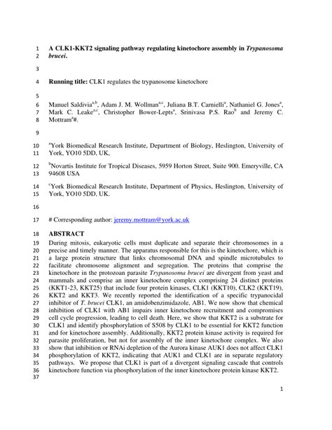 PDF A CLK1 KKT2 Signaling Pathway Regulating Kinetochore Assembly In