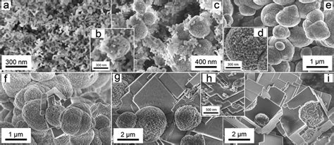 The Kinetics And Mechanisms Of Amorphous Calcium Carbonate Acc