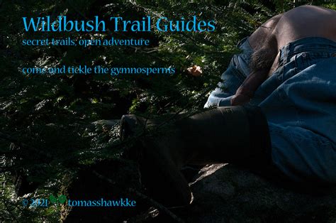 Tomass Hawkke S Naked Nature Wildbush Trail Guides Gymnosperms