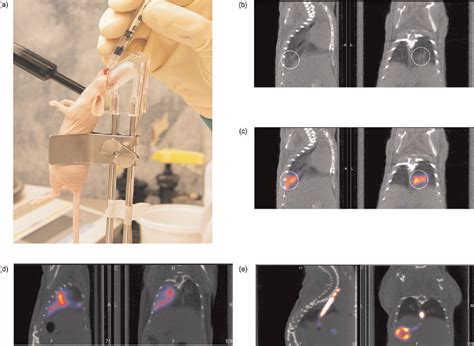 Figure From Validation Of Intratracheal Instillation Of Lung Tumour