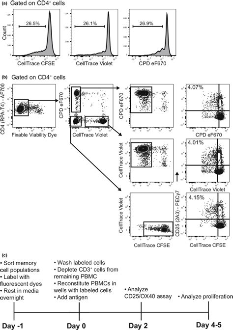 Comparative Proliferation Of Cfse Ctv And Cpdef670 Labeled Cells A