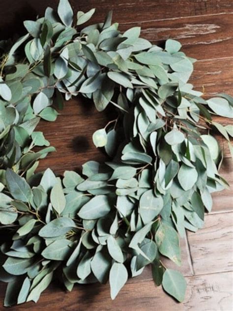 Eucalyptus Wreath DIY | Christene Holder Home