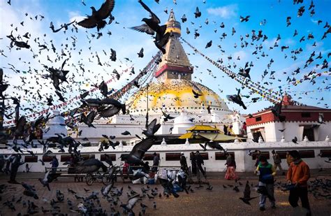 11 Best Monastery & Buddhist Temples in Nepal (2023)