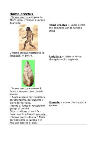 Evoluzione Delluomo Pdf