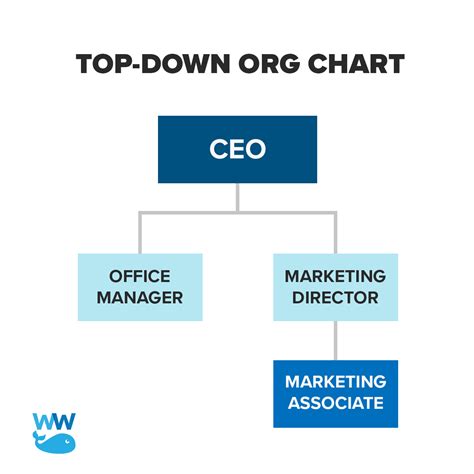 Easy Guide to Building a Nonprofit Org Chart - Whole Whale