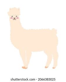 Cute Fluffy Llama On White Background Stock Vector (Royalty Free) 2066383025 | Shutterstock