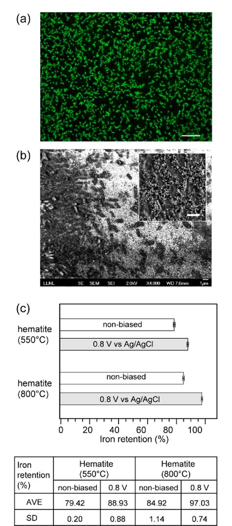 Figure From Photoenhanced Electrochemical Interaction Between