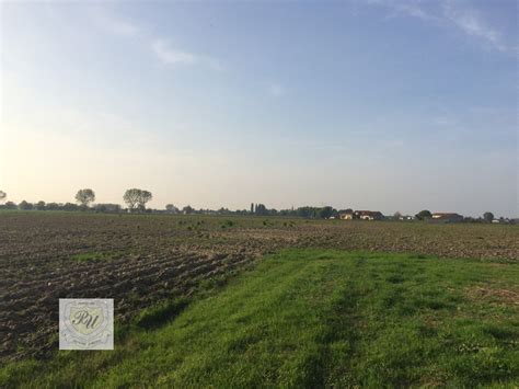 Terreno Agricolo Ospedaletto Euganeo