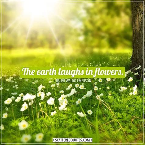 16.2.2019 The earth laughs in flowers.