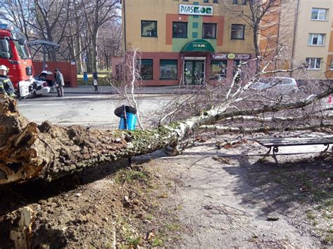 Stra Acy Mieli Pe Ne R Ce Roboty Skutki Silnego Wiatru W Powiecie