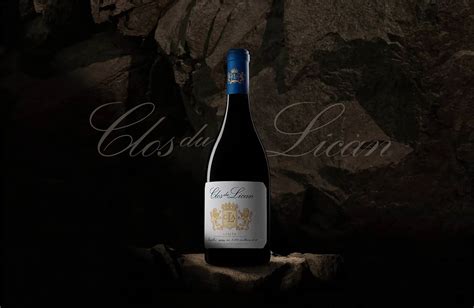 Clos Du Lican Syrah Red Wine From Apalta Valley Chile