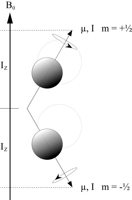 1 Orientations Of The Magnetic Moment Of A Spin Nucleus In An