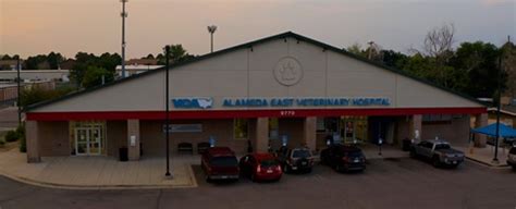 Veterinarians in Denver, CO | VCA Alameda East Veterinary Hospital