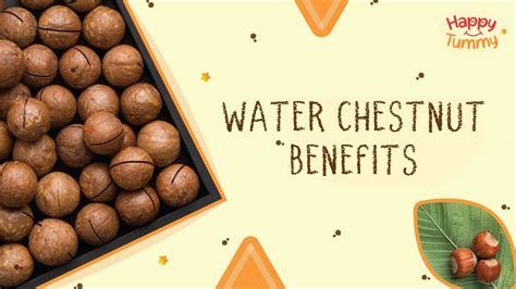 Top 6 Water Chestnut Benefits You Never Knew! - Happytummy