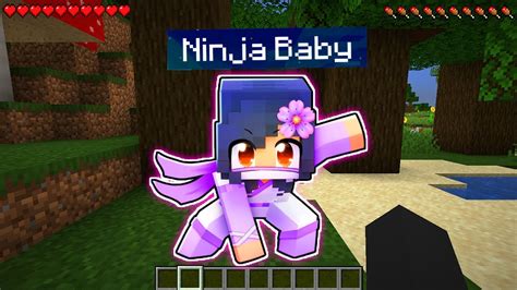 I Found Aphmau Baby Ninja In Minecraft Youtube