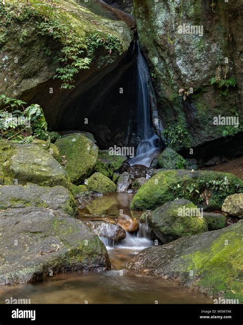 Waterfall in Rio de Janeiro Stock Photo - Alamy