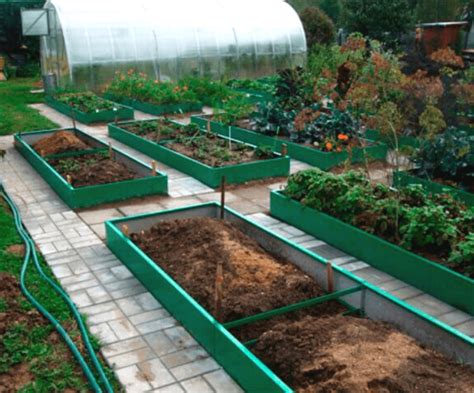 Maximize your harvest with raised beds - Mehbud