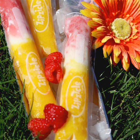 Mango Raspberry Ice Pops Zipzicle