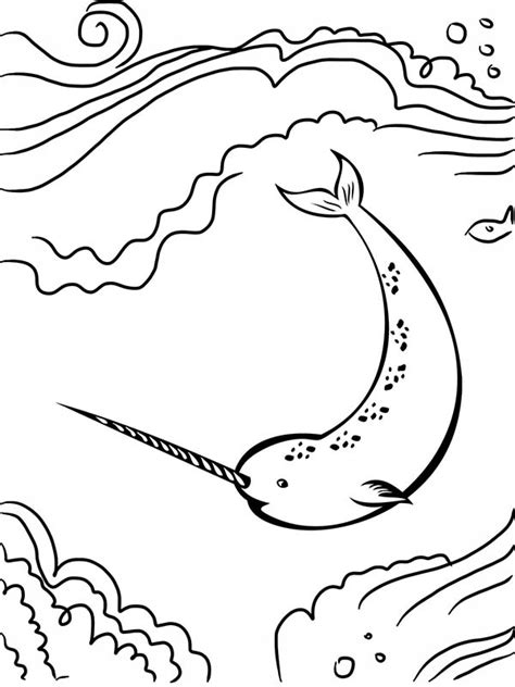 Narwhal In The Sea Coloring Page Netart