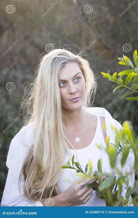 Australian With Long Blond Hair Touching Tree Stock Photo Image Of Bench Blonde 52488710