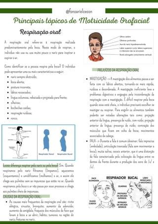 Motricidade Orofacial Ii Pdf