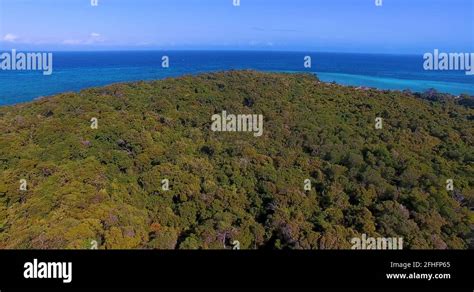 Kwale island Stock Videos & Footage - HD and 4K Video Clips - Alamy