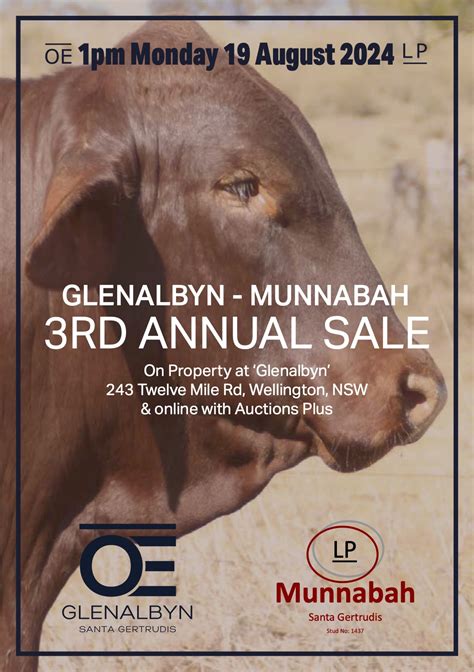 Glenalbyn Munnabah Santa Gertrudis Bull Stud Female Sale Aug