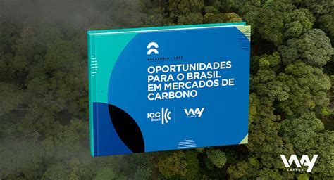 Novo estudo da WayCarbon e ICC Brasil foca na regulamentação do mercado