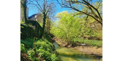 Aubou Berges De Lorne Un Projet Paysager En R Flexion