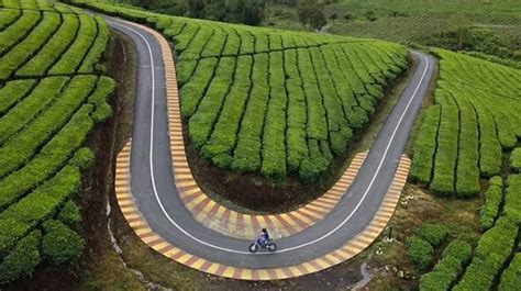 10 Rekomendasi Wisata Tahun Baru Di Kerinci Semuanya Masih Alami