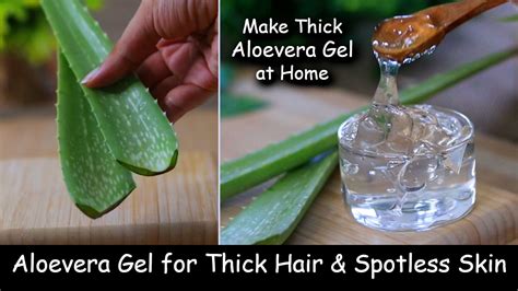 Homemade Aloevera Gel How To Make Aloe Vera Gel At Home