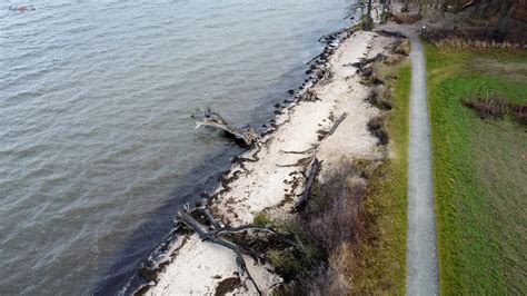 Schlafende Bäume am Strand bei Loissin GreifswalderNet