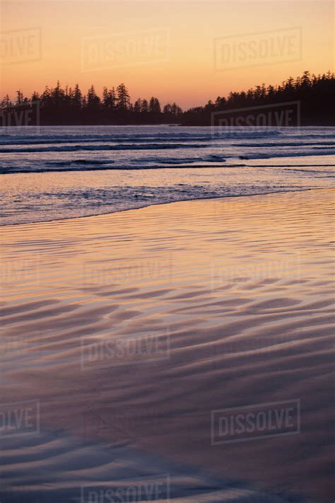 Long Beach At Sunset A Surfers Paradise In Pacific Rim National Park