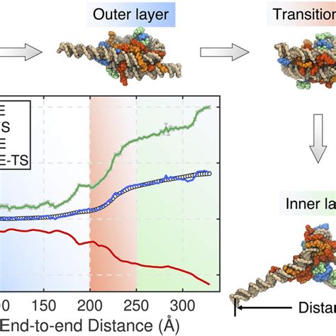 Thermodynamics Of Nucleosome Unwinding The Free Energy FE Profile