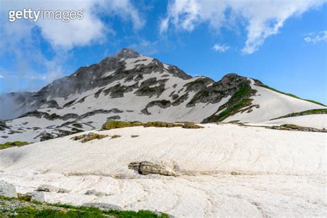 The Snowdrifts And Green Grass On Top Of Mountains In The Tropical