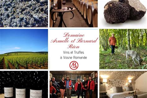 Visites au Domaine Armelle et Bernard Rion Vosne Romanée Beaune und