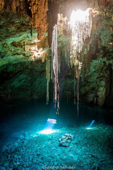 Informaci N De Los Cenotes Cuzam Precios Horarios