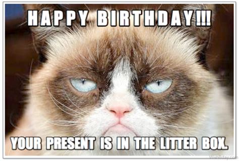 58 Grumpy Cat Birthday Wishes