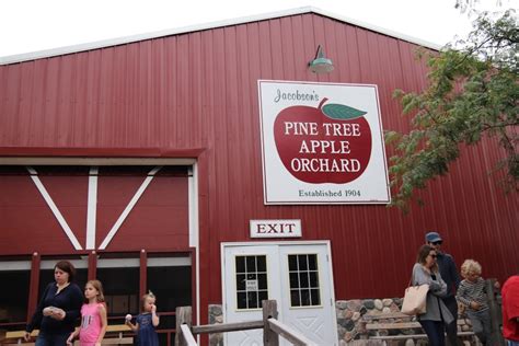 Pine Tree Apple Orchard