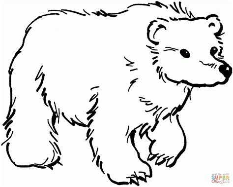 Brown Bear Coloring Book Coloring Pages