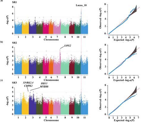 PDF Genetic Dissection Of Drought Resistance Of Common Bean At The